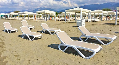 ���� �������� NARDI Omega